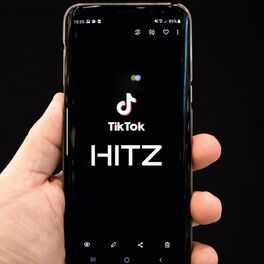 Album cover of TIK TOK HITZ