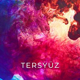 Album cover of Tersyüz