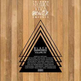 Album cover of Black Diamonds, Vol.13