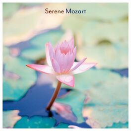 Album cover of Serene Mozart