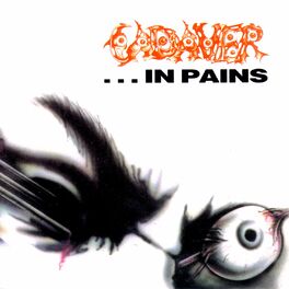 Album cover of ...In Pains