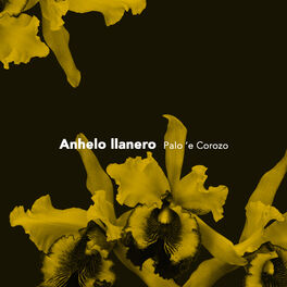 Album cover of Anhelo Llanero