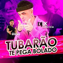 Album cover of O Tubarão Te Pega Bolado