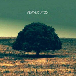 Album cover of Amora