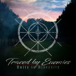 Album picture of Unity in Diversity