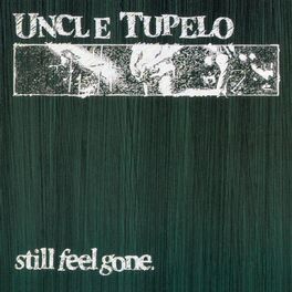 Album cover of Still Feel Gone