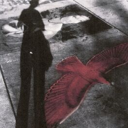 Album cover of The Eagle & The Dove