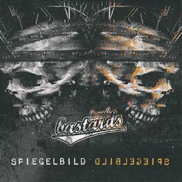 Album cover of Spiegelbild