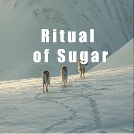 Album cover of Ritual of Sugar