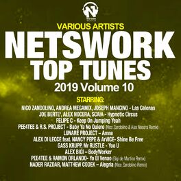 Album cover of Netswork Top Tunes 2019, Vol. 10