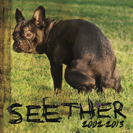 Album cover of Seether: 2002-2013