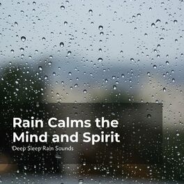 Album cover of Rain Calms the Mind and Spirit