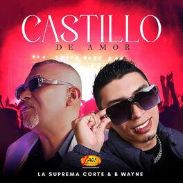 Album cover of Castillo De Amor