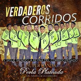Album cover of Verdaderos Corridos