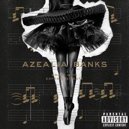 Album cover of Broke with Expensive Taste