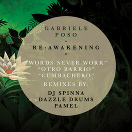 Album cover of Re: Awakening