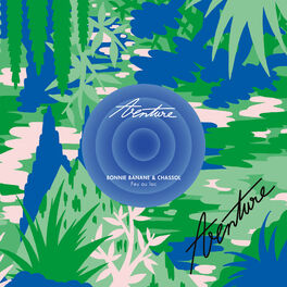 Album cover of Feu au lac