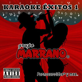Album cover of Karaoke Éxitos 1