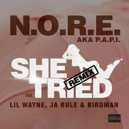 Album cover of She Tried (feat. Lil Wayne, Ja Rule & Birdman) - Single
