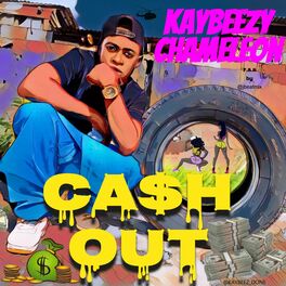Album cover of cash out