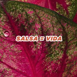 Album cover of Salsa = Vida