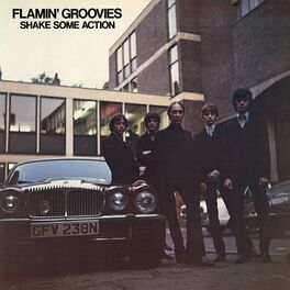 Album cover of Shake Some Action