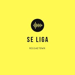 Album cover of Se Liga (Força pra Lutar)
