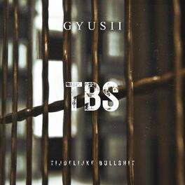 Album cover of TBS (Tijdelijke Bullshit)