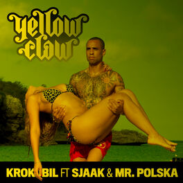 Album cover of Krokobil