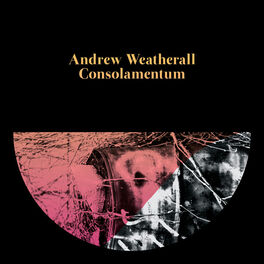 Album cover of Consolamentum