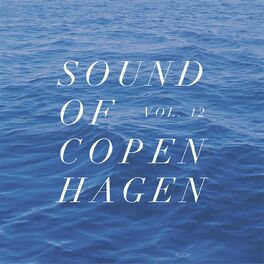 Album cover of Sound Of Copenhagen Vol. 12