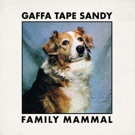 Album picture of Family Mammal