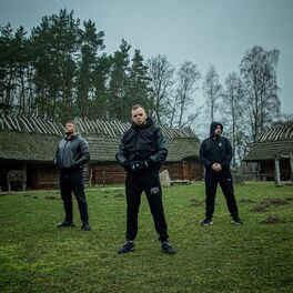Album cover of Viking
