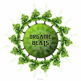 Album cover of Organic Beats Vol.1