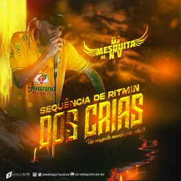 Album cover of Sequencia De Ritmin Dos Crias 