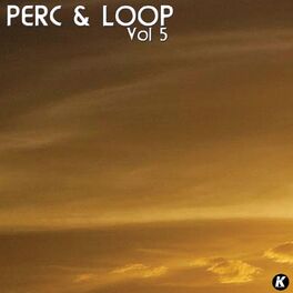 Album cover of Perc & Loop, Vol. 5