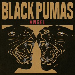Album cover of Angel