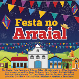 Album cover of Festa No Arraial
