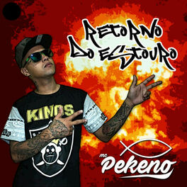 Album cover of Retorno do Estouro