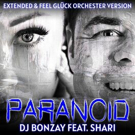 Album cover of Paranoid (Remixe)