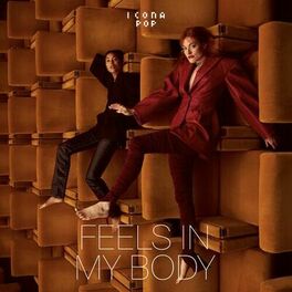 Album cover of Feels In My Body