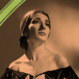 Album cover of At the Opera: The Maria Callas Collection