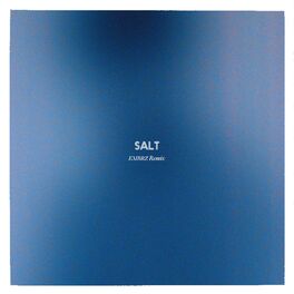 Album cover of Salt (EMBRZ Remix)