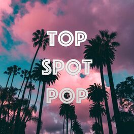 Album cover of Top Spot Pop