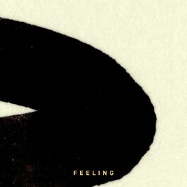 Album cover of Feeling