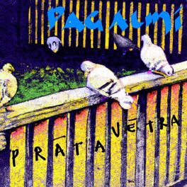 Album cover of Pagalmi