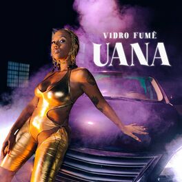 Album cover of Vidro Fumê