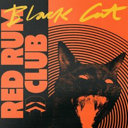 Album cover of Black Cat