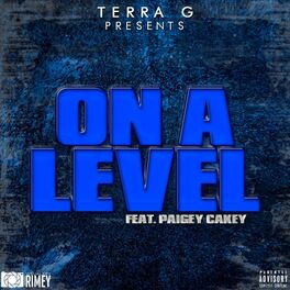 Album cover of On a Level (feat. Paigey Cakey)