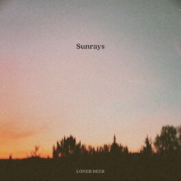 Album cover of Sunrays
